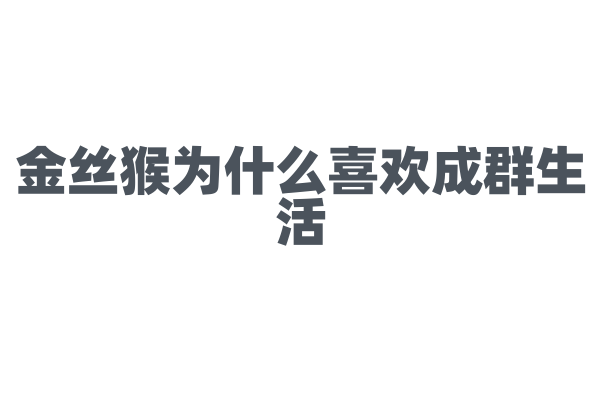 金丝猴为什么喜欢成群生活？