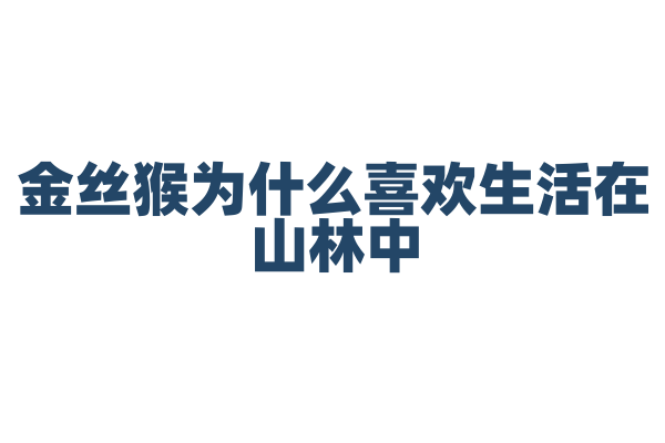 金丝猴为什么喜欢生活在山林中