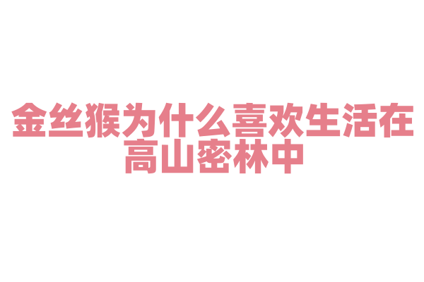 金丝猴为什么喜欢生活在高山密林中