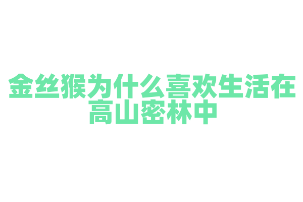 金丝猴为什么喜欢生活在高山密林中？