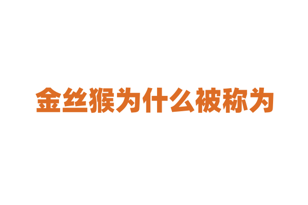 金丝猴为什么被称为“灵猴”？