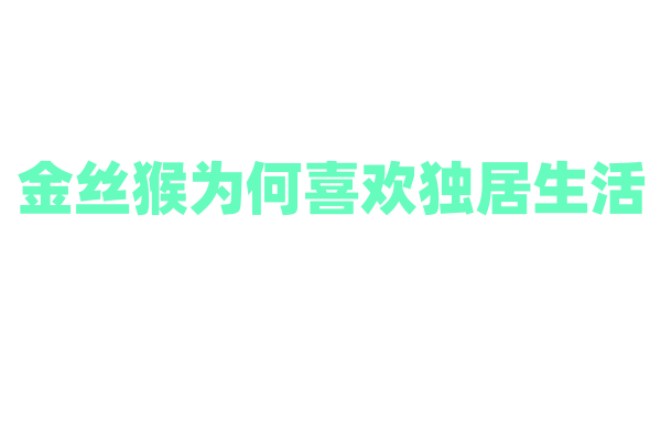 金丝猴为何喜欢独居生活？