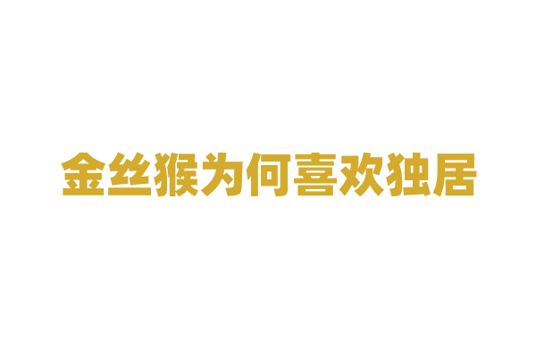 金丝猴为何喜欢独居？