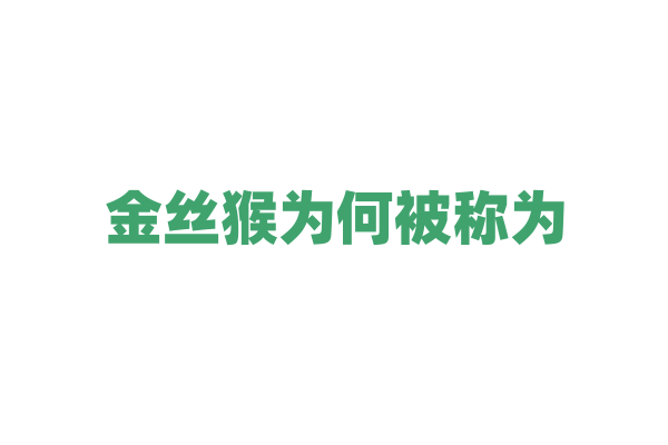 金丝猴为何被称为“活化石”？