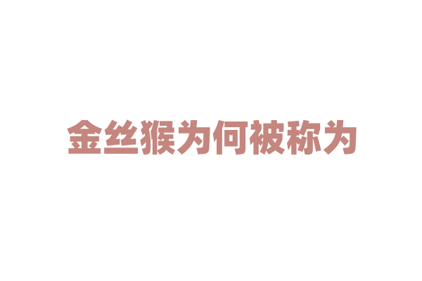 金丝猴为何被称为“灵长类中的大熊猫”？