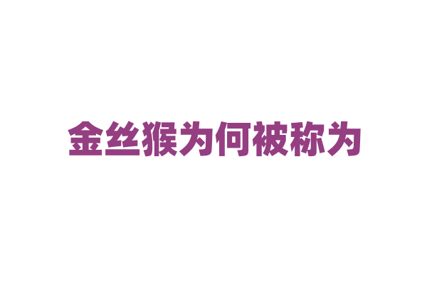 金丝猴为何被称为“灵长类之王”？