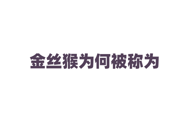 金丝猴为何被称为“灵长类动物中的大熊猫”？