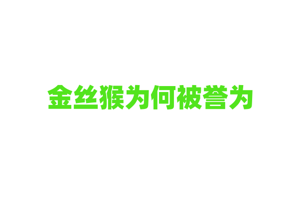 金丝猴为何被誉为“中国国宝”