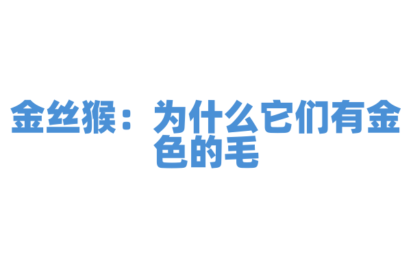 金丝猴：为什么它们有金色的毛？