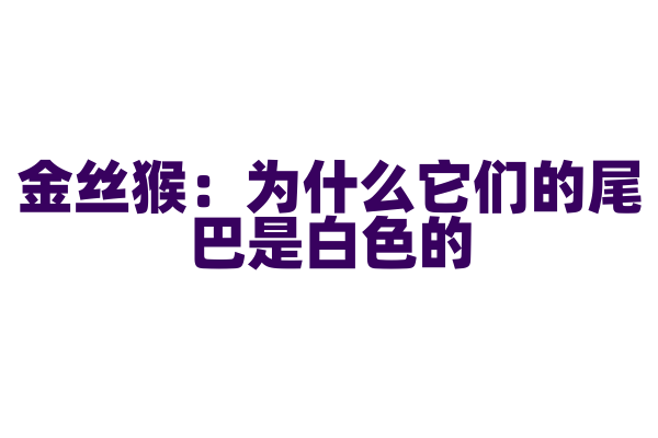 金丝猴：为什么它们的尾巴是白色的？