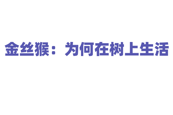 金丝猴：为何在树上生活？