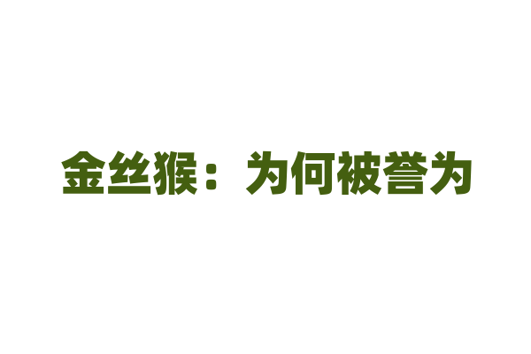 金丝猴：为何被誉为“活化石”？
