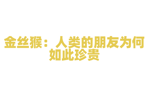 金丝猴：人类的朋友为何如此珍贵？