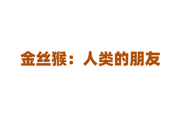 金丝猴：人类的朋友？