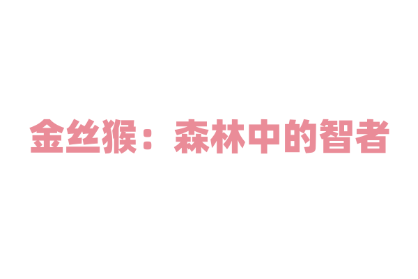 金丝猴：森林中的智者
