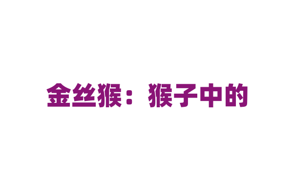 金丝猴：猴子中的“国宝”，为何被称为“金丝猴”？