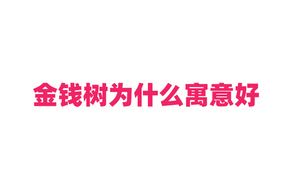 金钱树为什么寓意好，它的名称来源和文化寓意是什么？