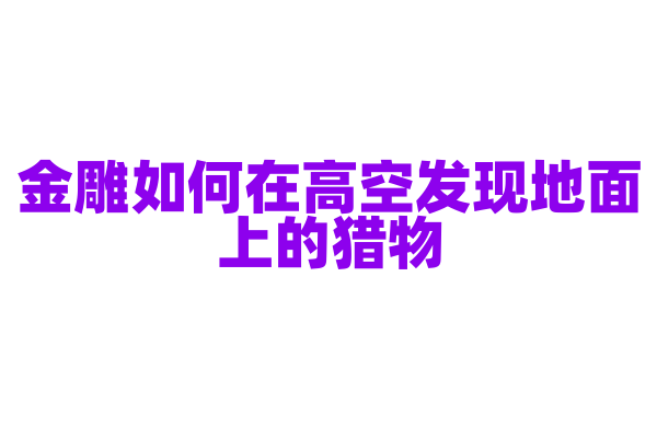 金雕如何在高空发现地面上的猎物？