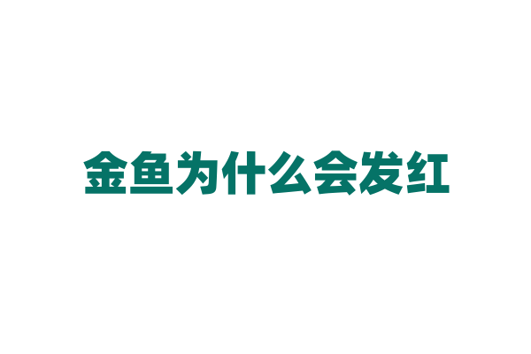 金鱼为什么会发红？