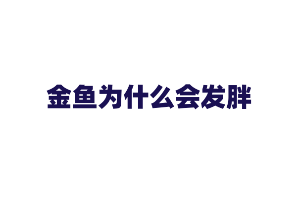 金鱼为什么会发胖