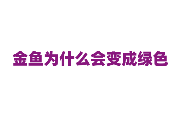 金鱼为什么会变成绿色？