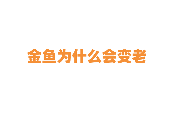 金鱼为什么会变老？