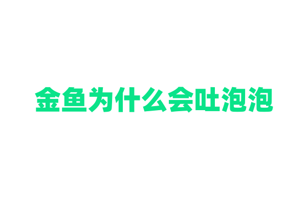 金鱼为什么会吐泡泡