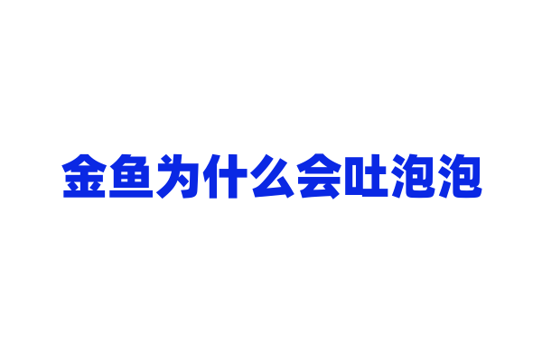 金鱼为什么会吐泡泡？