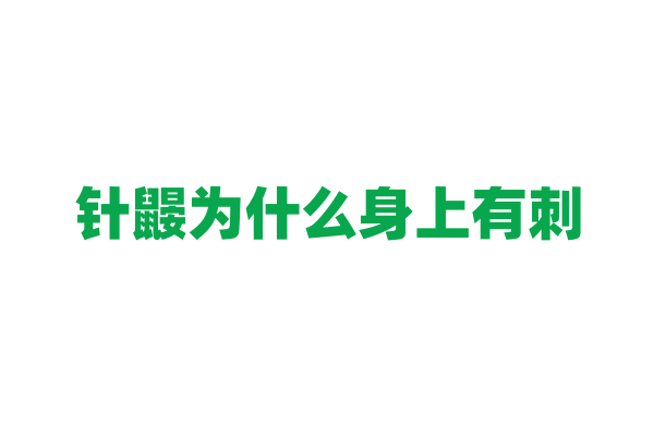 针鼹为什么身上有刺，它的刺和防御机制有什么关系？