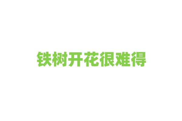 铁树开花很难得，是什么因素影响它开花？