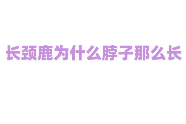 长颈鹿为什么脖子那么长，它的进化历程是怎样的？