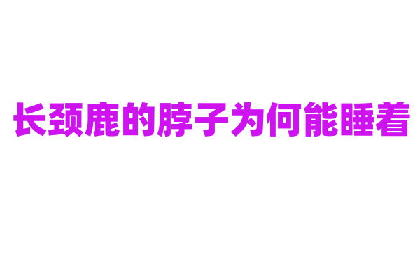 长颈鹿的脖子为何能睡着