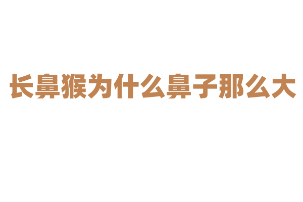 长鼻猴为什么鼻子那么大，它的大鼻子有什么作用？