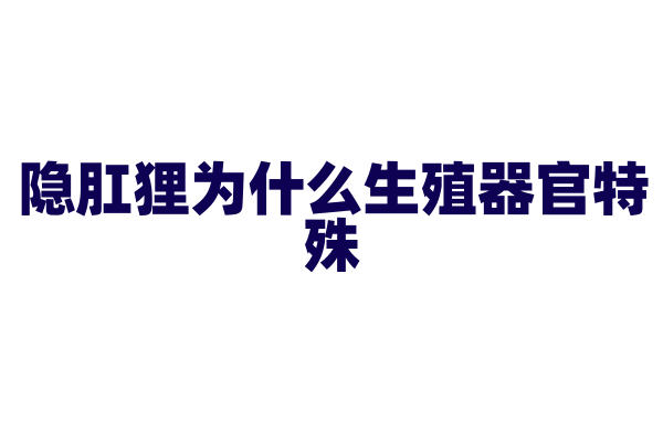 隐肛狸为什么生殖器官特殊，它的繁殖行为和生殖系统有什么特点？