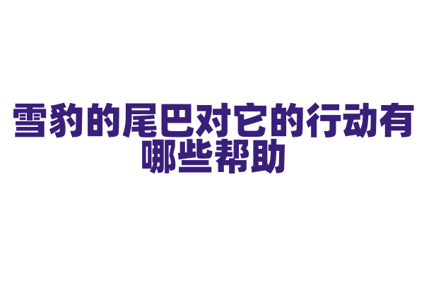 雪豹的尾巴对它的行动有哪些帮助？
