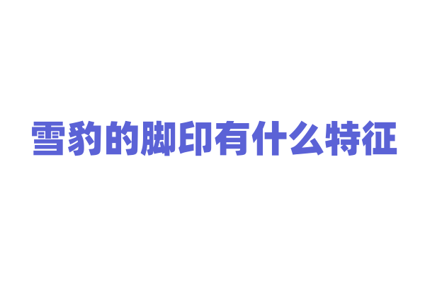雪豹的脚印有什么特征？
