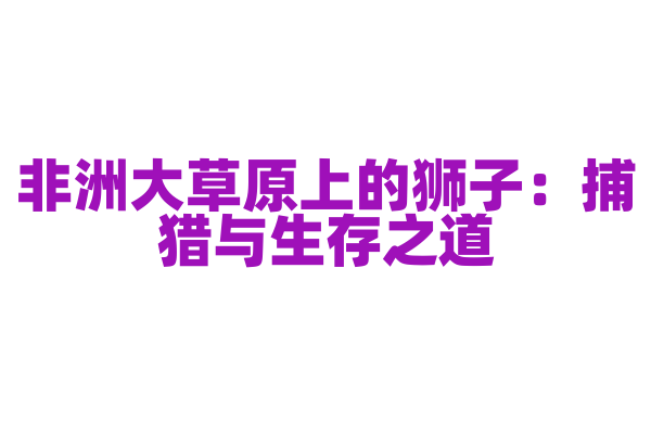 非洲大草原上的狮子：捕猎与生存之道