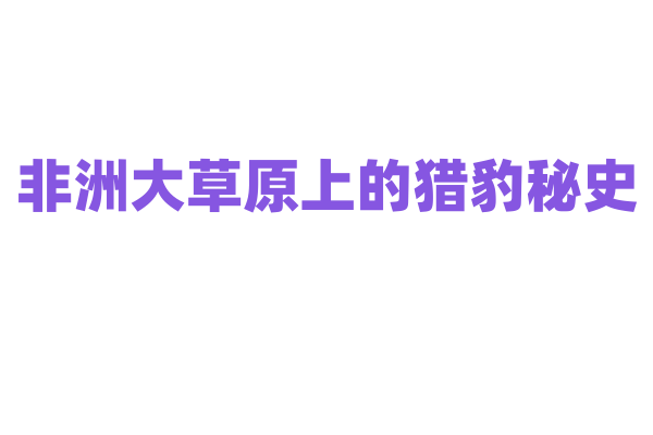 非洲大草原上的猎豹秘史