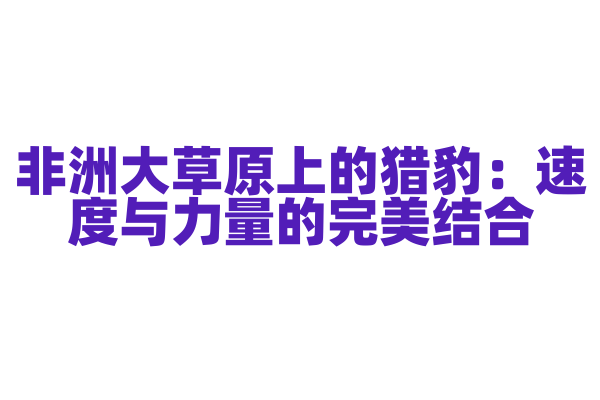 非洲大草原上的猎豹：速度与力量的完美结合