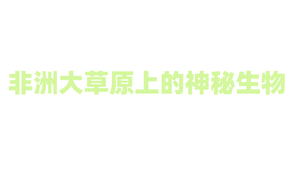 非洲大草原上的神秘生物