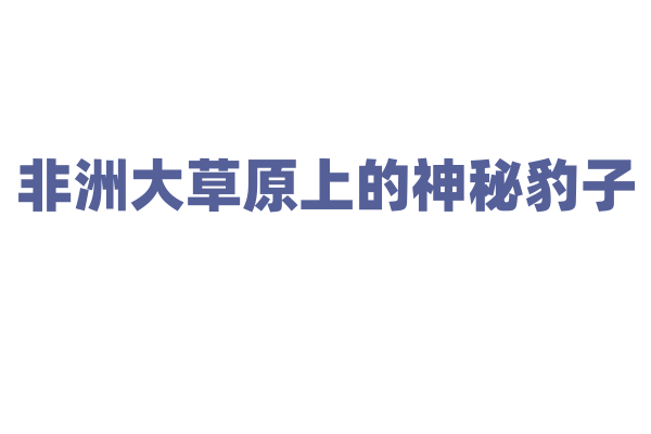 非洲大草原上的神秘豹子