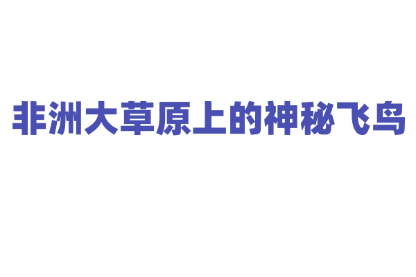 非洲大草原上的神秘飞鸟