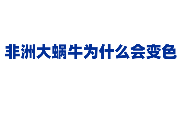 非洲大蜗牛为什么会变色？