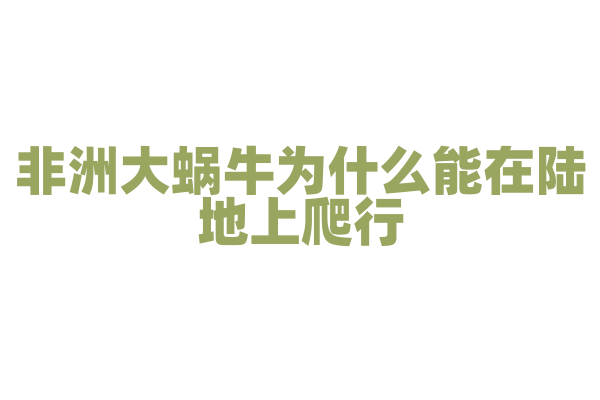 非洲大蜗牛为什么能在陆地上爬行