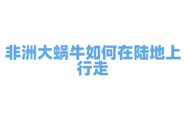 非洲大蜗牛如何在陆地上行走？