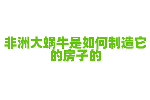 非洲大蜗牛是如何制造它的房子的？