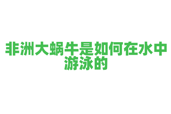 非洲大蜗牛是如何在水中游泳的？