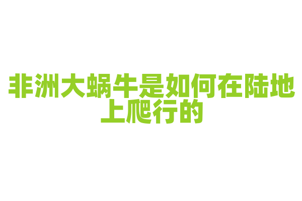 非洲大蜗牛是如何在陆地上爬行的？