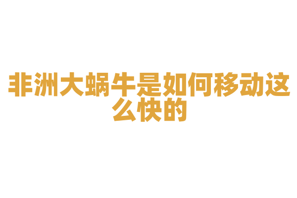 非洲大蜗牛是如何移动这么快的？