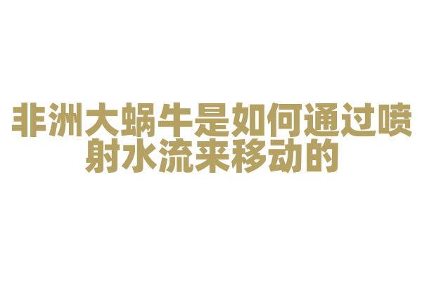 非洲大蜗牛是如何通过喷射水流来移动的？